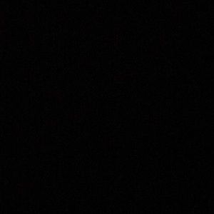 Meet your Posher, Gavin